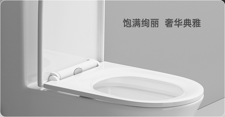 8005 陶瓷坐便器