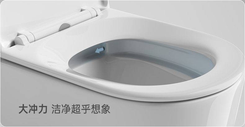 8011 陶瓷坐便器