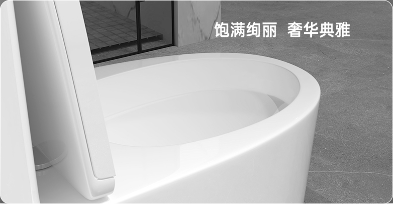 8019 陶瓷坐便器