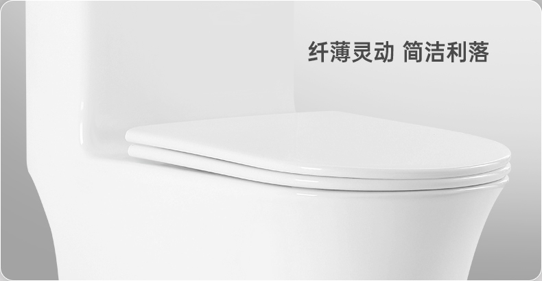8021 陶瓷坐便器