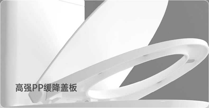8023 陶瓷坐便器