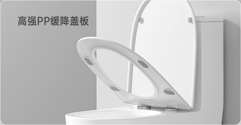 8024 陶瓷坐便器