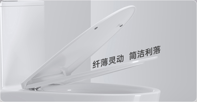 8028 陶瓷坐便器