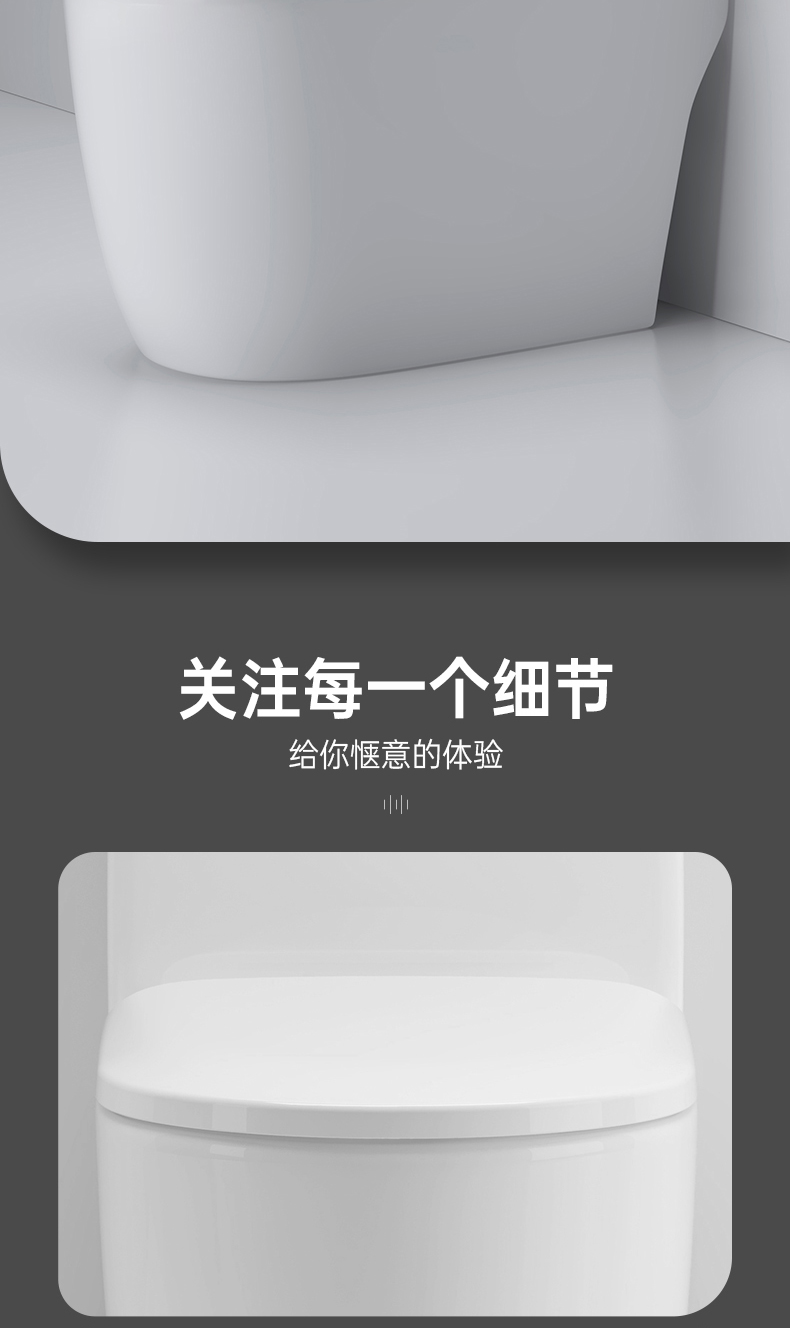8029 陶瓷坐便器